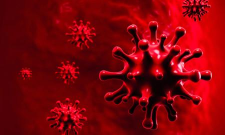 Information Related To Corona Virus Or Vaccine